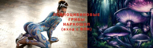 мдпв Верея