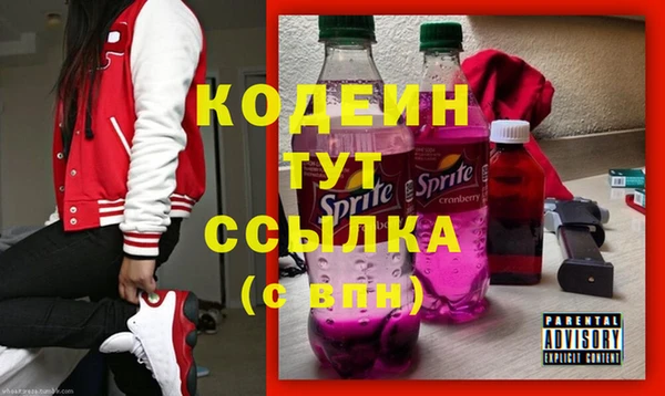 мдпв Верея