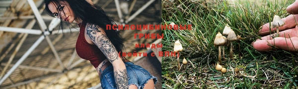 синтетический гашиш Бугульма